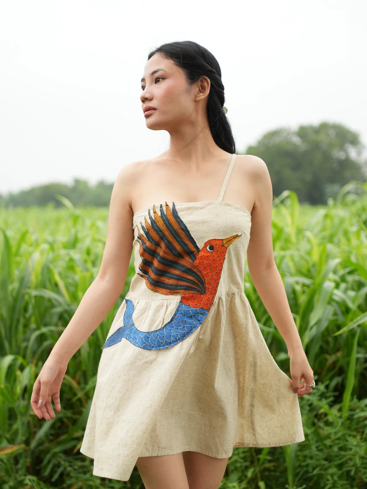 Meen-Pankh Dress