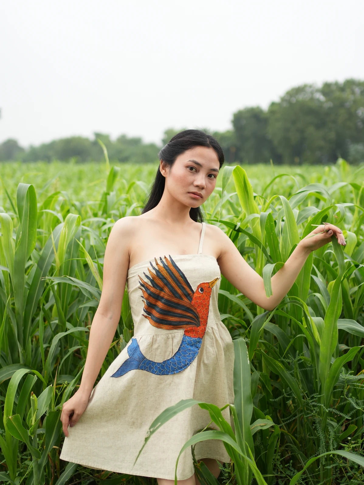 Meen-Pankh Dress
