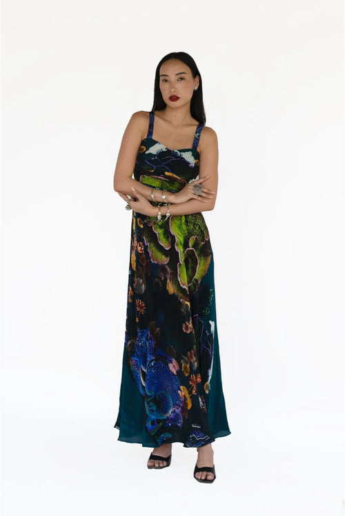 Aroi Dress