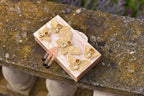 The Creme Butterfly Clutch