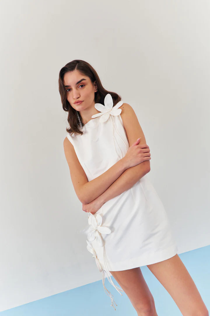 Moonlit fleur mini dress