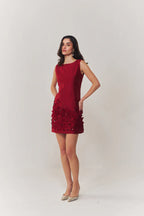 Valentina embroidered A line dress