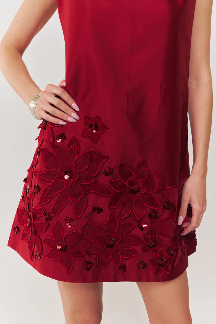 Valentina embroidered A line dress