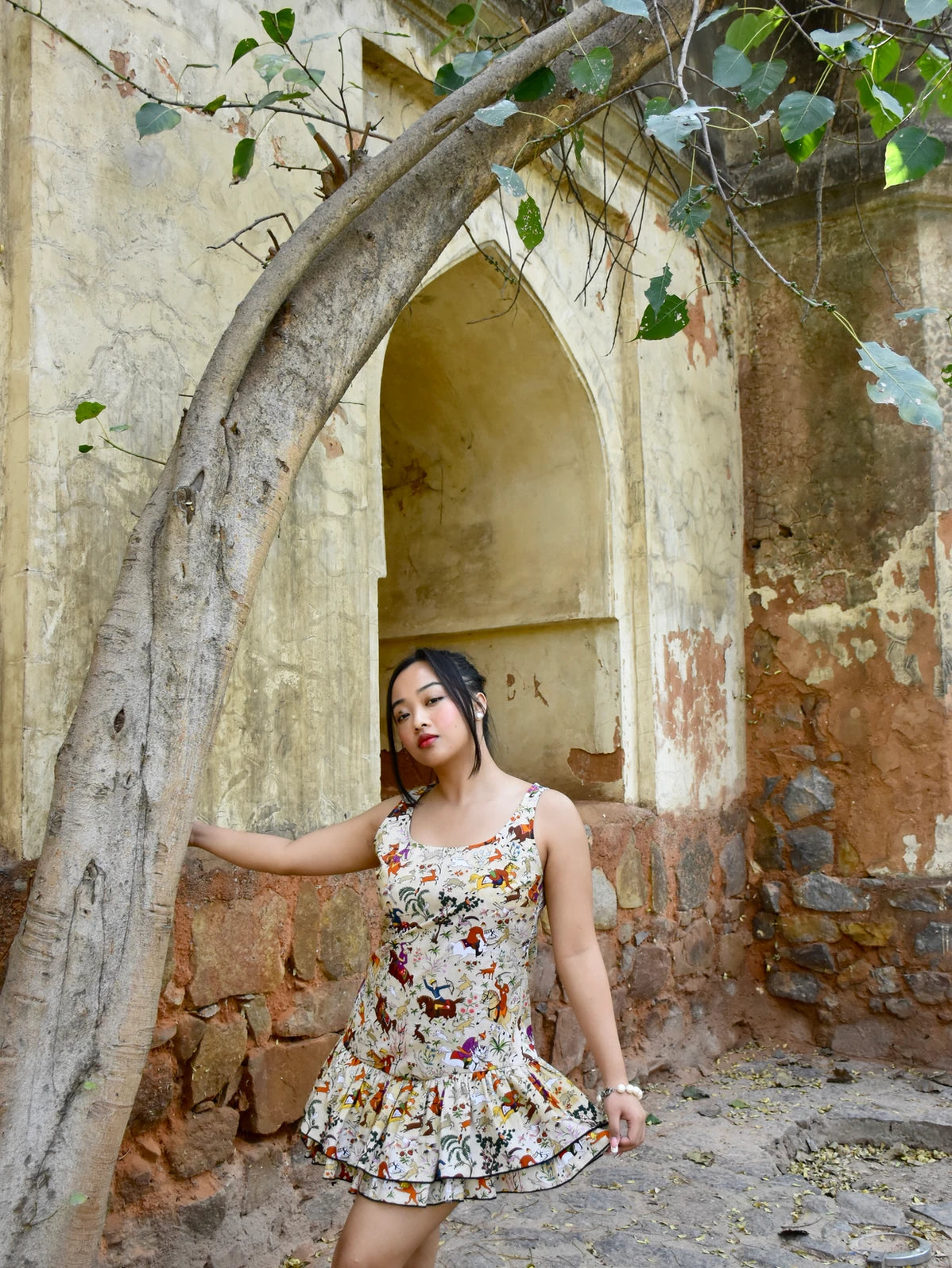 Stories of Panchatantra Play Dress